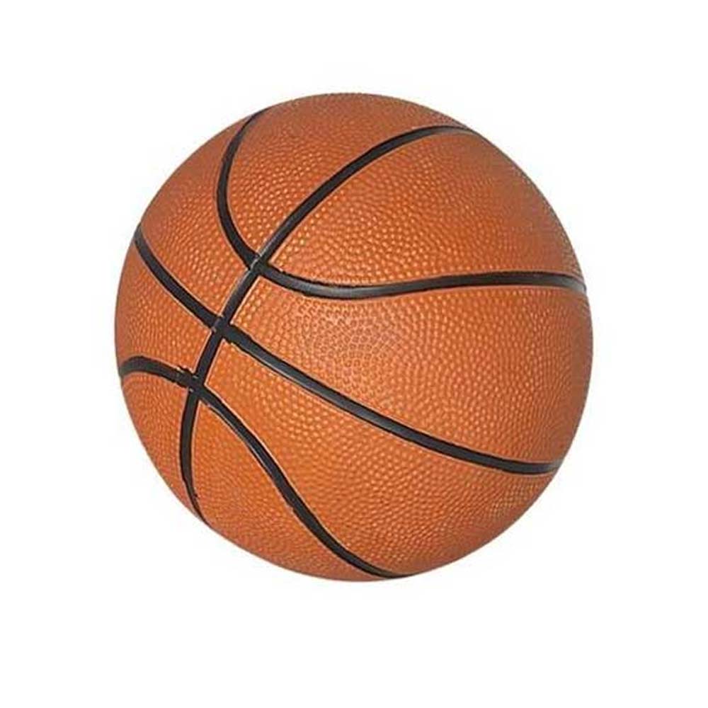 7 inch Mini Basketball - Currently Unavailable