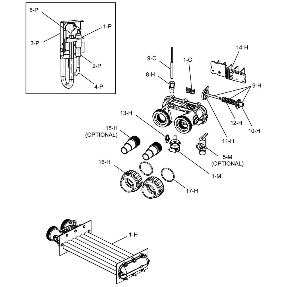 Raypak Heaters Wiring Diagrams For