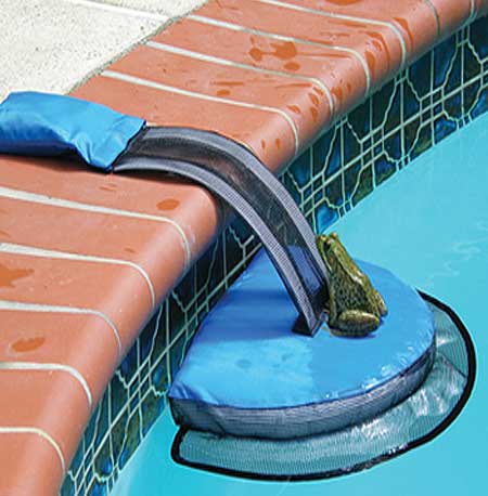 Pool Critter Escape Ramp - Currently Unavailable
