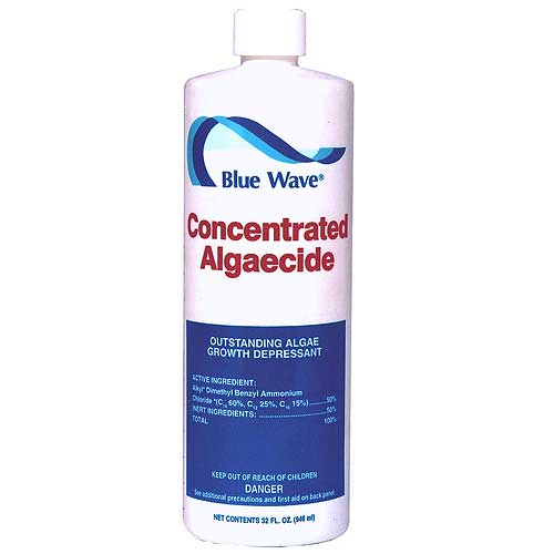 Concentrated Algaecide 1 qt.